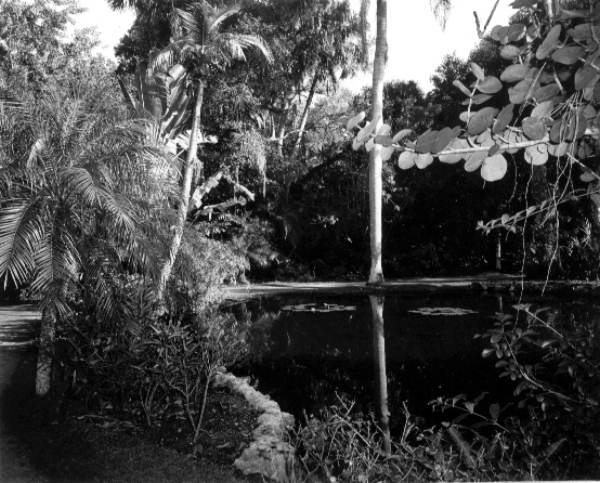 McKee Jungle Gardens - Vero Beach, Florida.