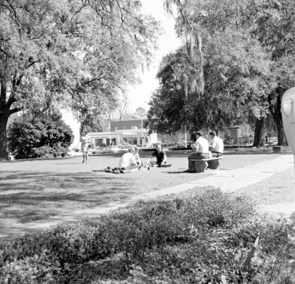 Picnicking in the park - Tallahassee, Florida
