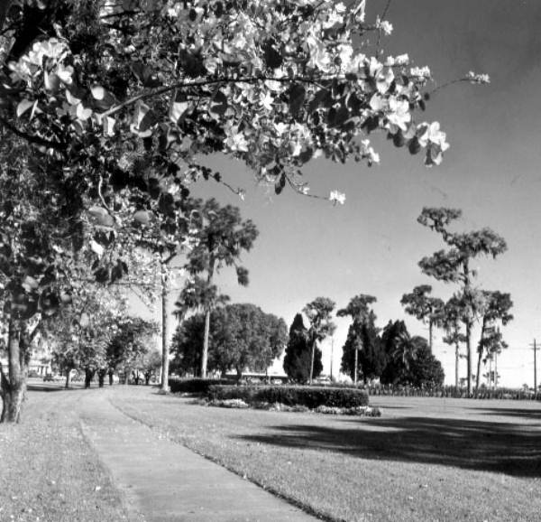 Inman Park - Winter Haven, Florida