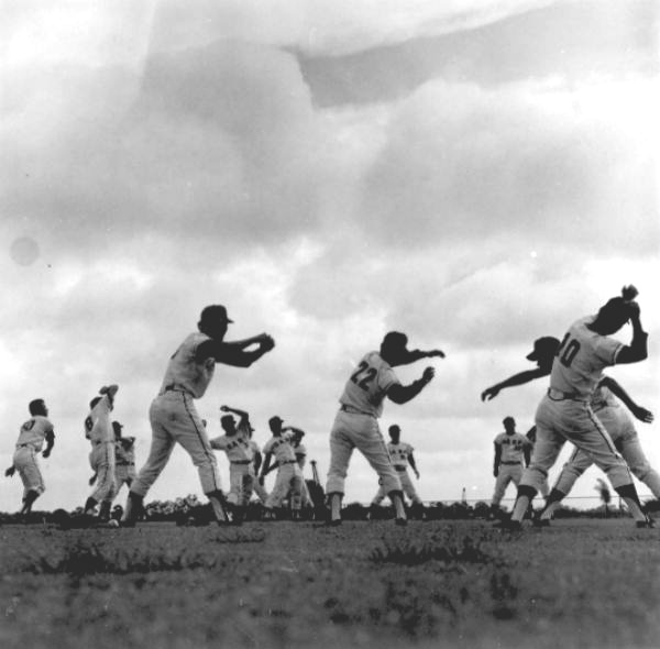 Hiroshima Toyo Carp at Pirate City - Bradenton, Florida