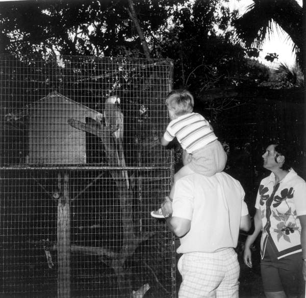 People looking at Macaw in a cage - Bonita Springs, Florida