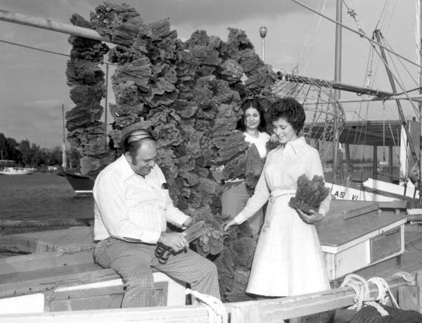 Sponge boat - Tarpon Springs