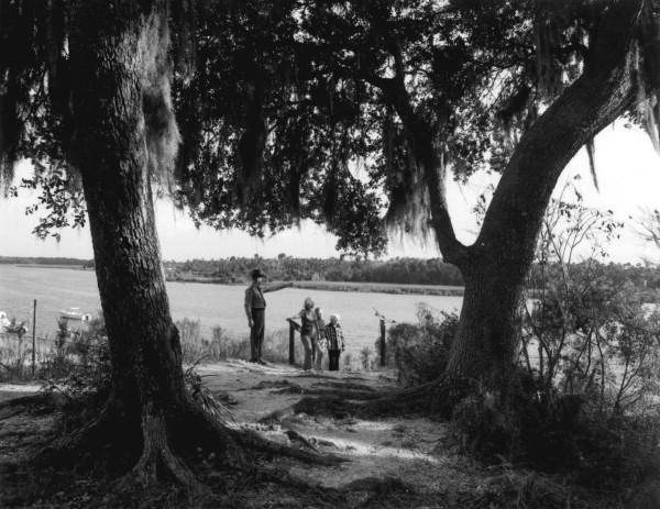 View of visitors to the Indian mounds at Crystal River Archaeological State Park