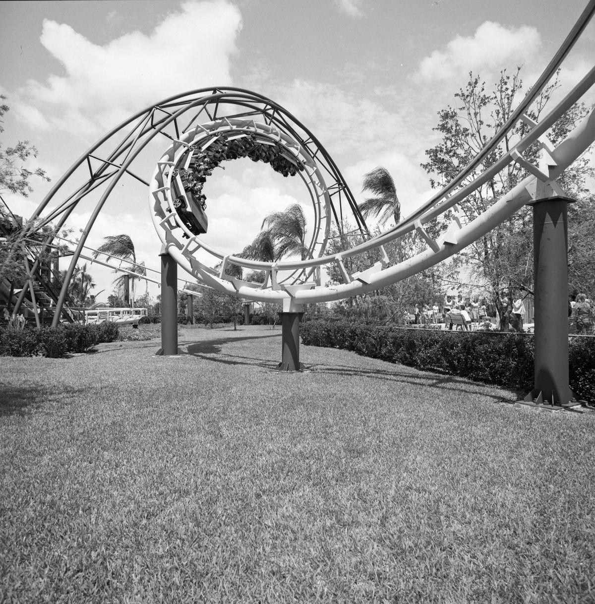 Python roller coaster at Busch Gardens - Tampa, Florida.
