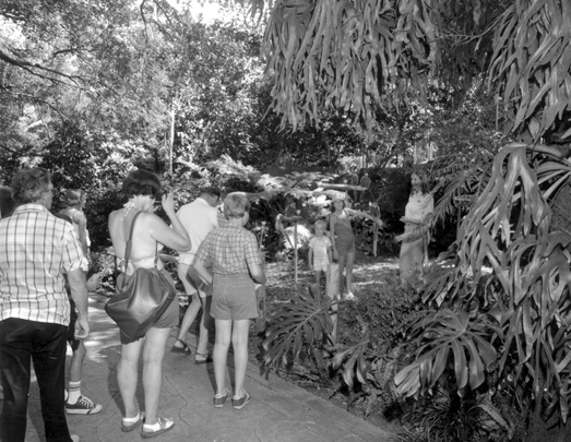 Visitors at Sunken Gardens - Saint Petersburg, Florida