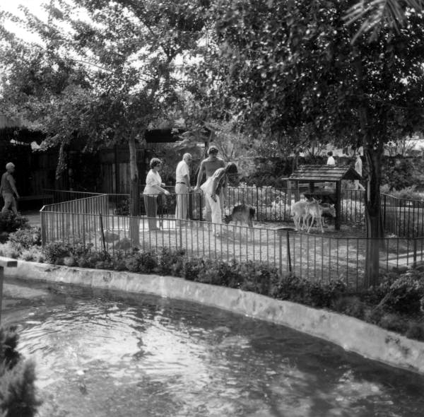 People at petting zoo - Cypress Gardens, Florida