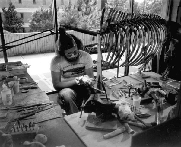 A staff member working on construction of a fossil animal at the Florida State Museum - Gainesville, Florida