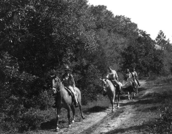 Riders and horses in the woods - Amelia Island, Florida