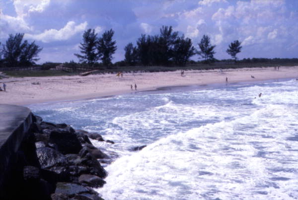 View looking toward beach at the Sebastian Inlet State Park - Melbourne Beach, Florida.