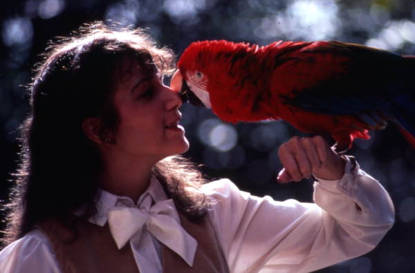 Busch Gardens amusement park employee with a parrot - Tampa, Florida.
