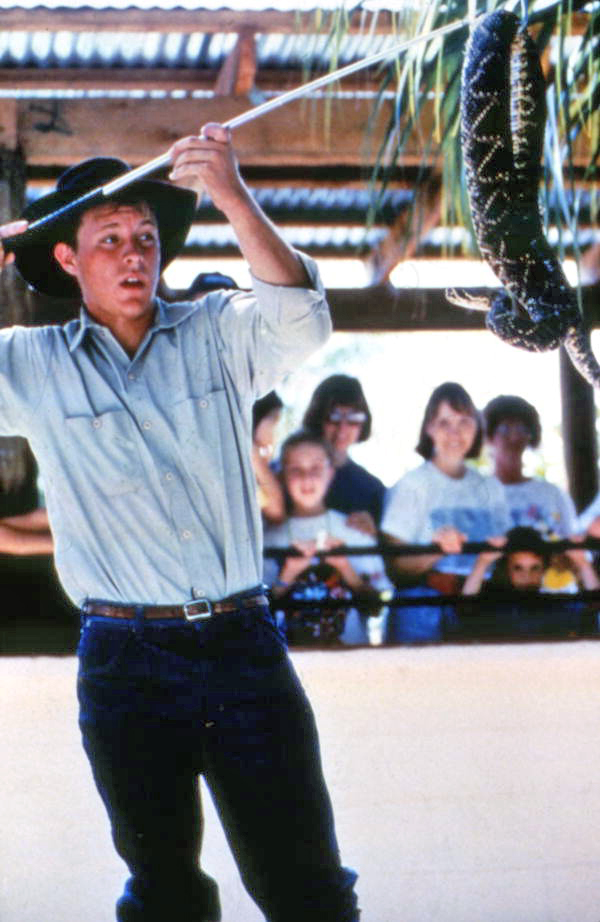 Gatorland theme park employee handling a rattlesnake - Orlando, Florida.