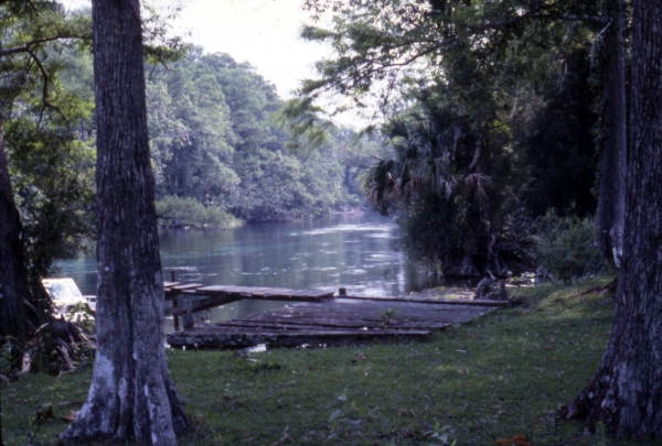 View showing dock at Silver Springs, Florida.