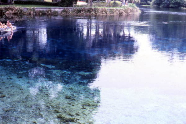 View of Silver Springs, Florida.
