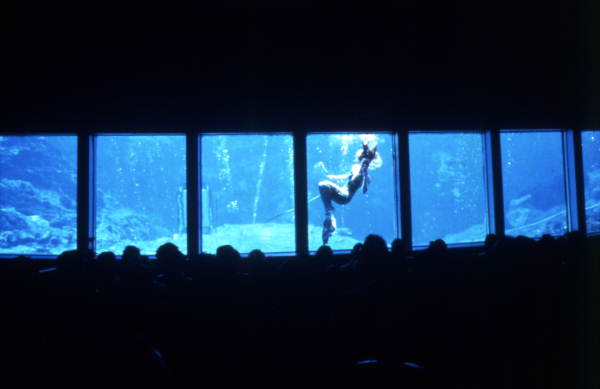 View of mermaid show from the underwater theater at the Weeki Wachee Springs amusement park.