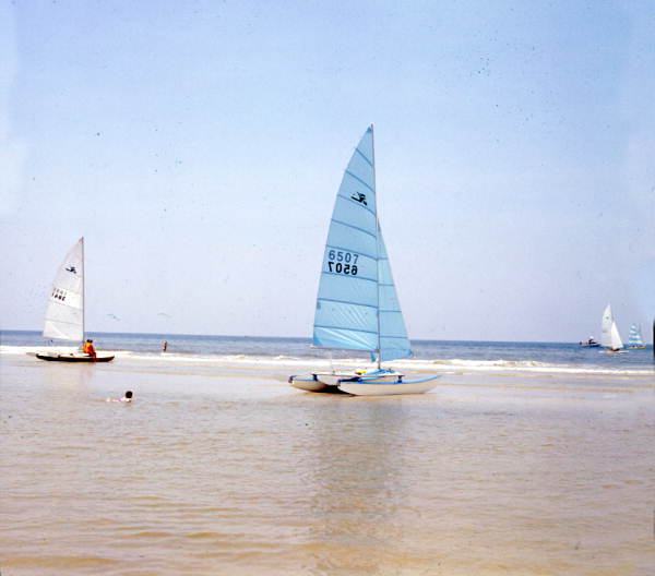 Catamarans on the shore - Jacksonville, Florida