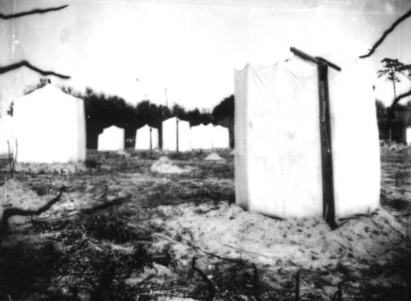 Canvas tents protecting citrus trees from the freeze