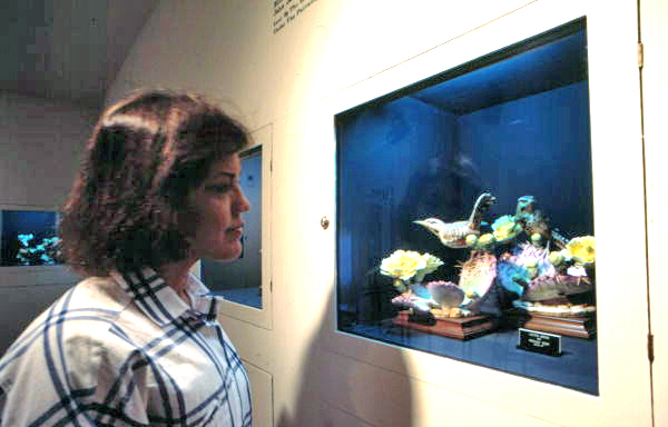 Ann McDonald admiring exhibit at the Audubon House - Key West, Florida.