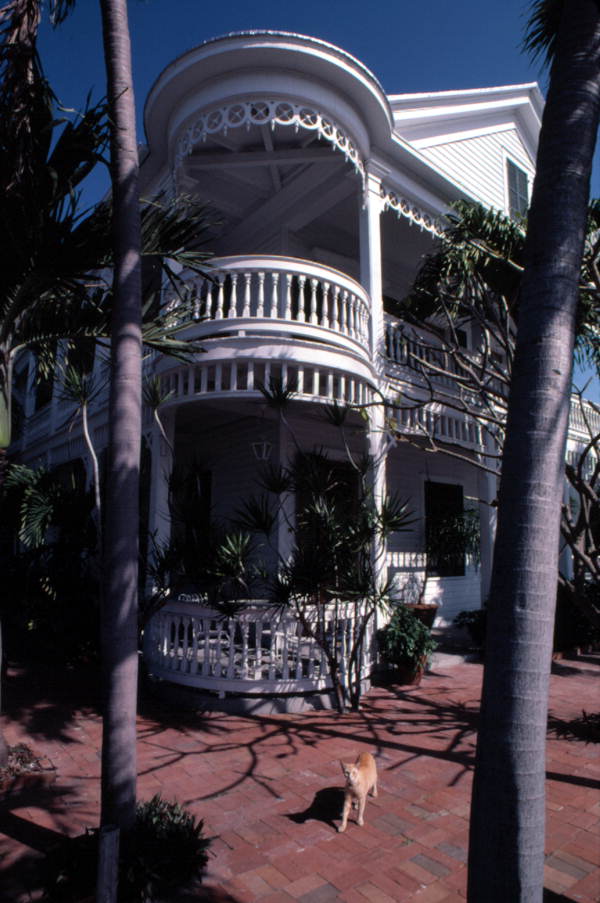Cat in front of the Cuban Consulate house on Eaton Street - Key West, Florida.