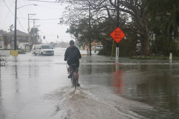 Bicyclist headed east on Flagler Avenue flooded by Hurricane Wilma - Key West, Florida.