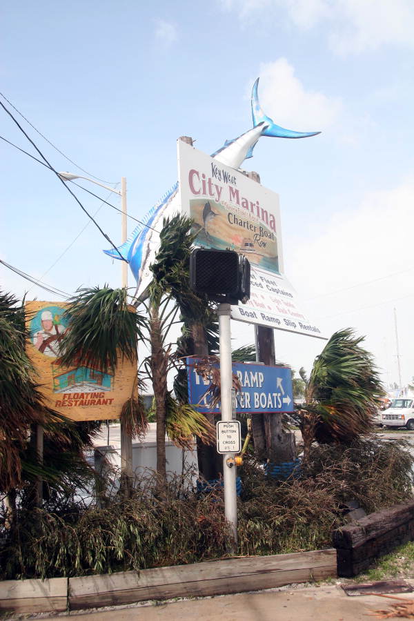 Damage to marlin mount at the Garrison Bight City Marina..