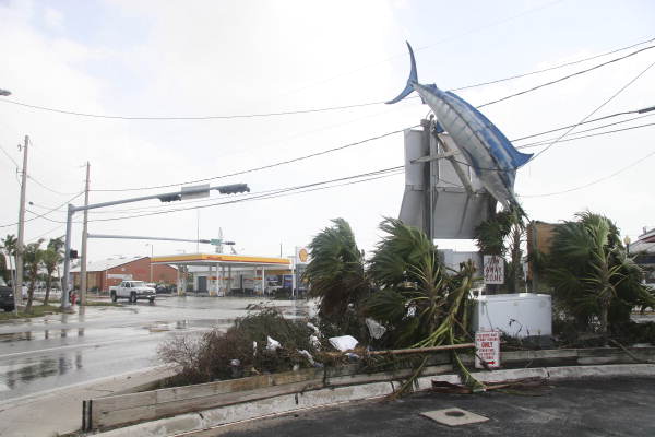 Damage to marlin mount at the Garrison Bight City Marina..