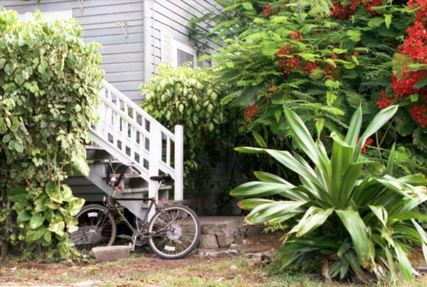 Side yard of conch house on the corner of Truman and Georgia streets, Key West, Florida.