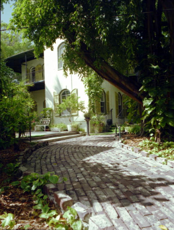 Walkway leading to the rear entrance of the Ernest Hemingway house museum - Key West, Florida.