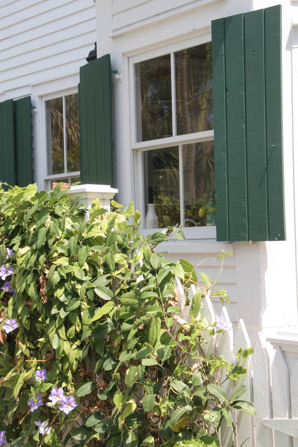 Window of unidentified building on Carsten Lane - Key West, Florida