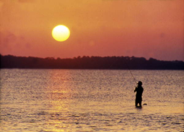 View of a man fishing