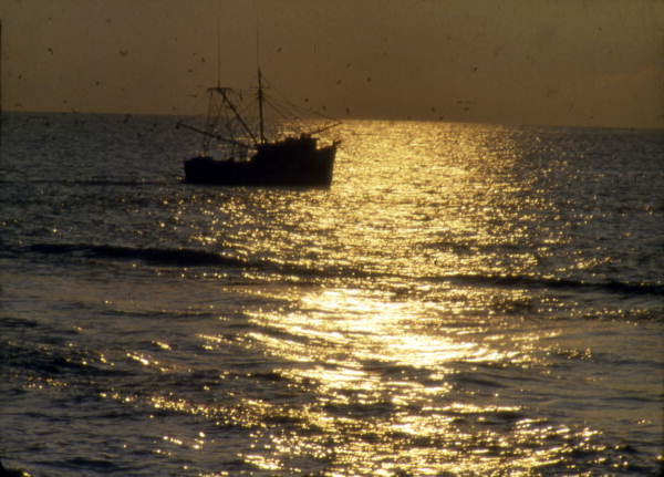 View of a boat