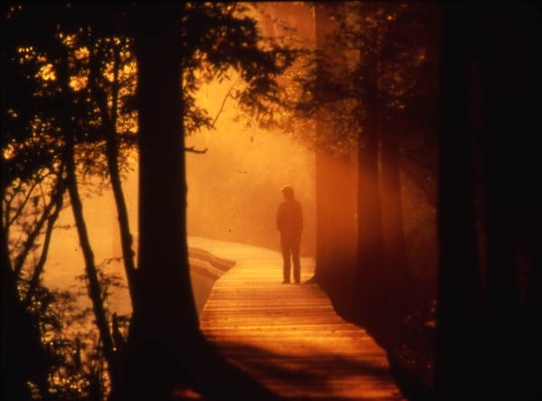 Unidentified person on a boardwalk.