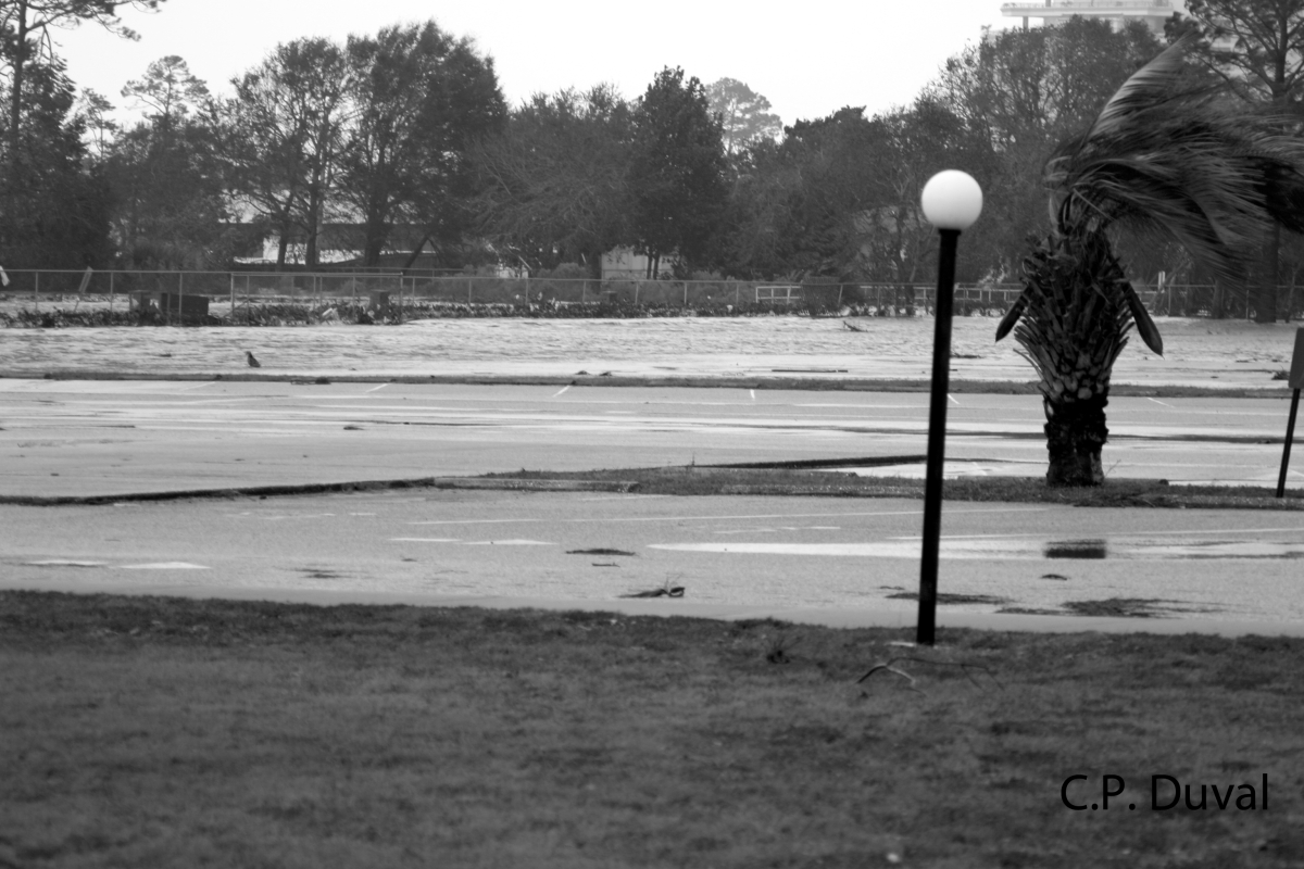 Flooded parking lot after Hurricane Ivan - Navarre, Florida.