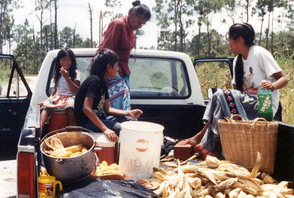 Billie family corn harvest.