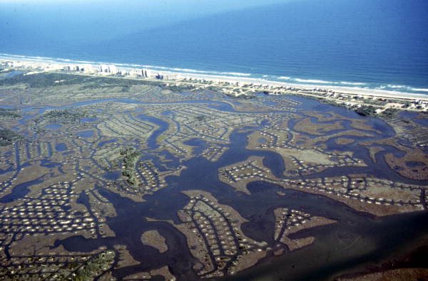 Aerial view showing a section of Atlantic Ocean coastline at New Smyrna Beach - Volusia County, Florida