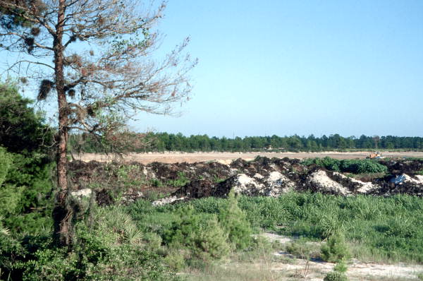 View showing land utilization - Lake County, Florida