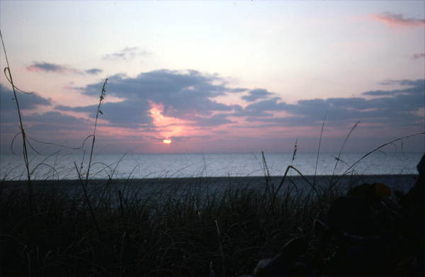 View of sunrise at New Smyrna Beach - Volusia County, Florida
