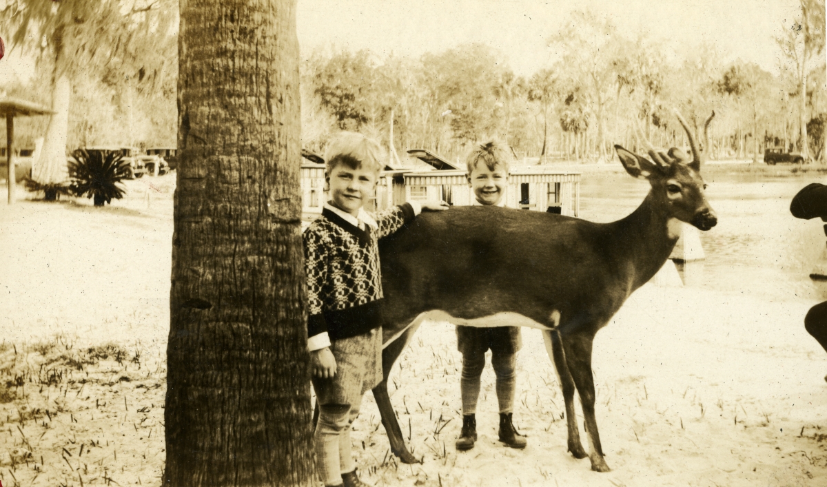 Twin brothers with deer at Crystal Springs, Florida.