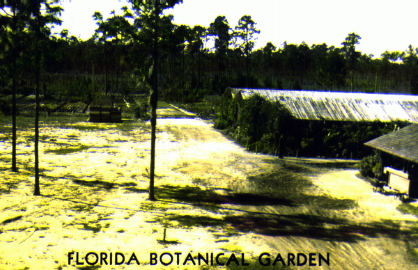 Florida Botanical Garden and Arboretum