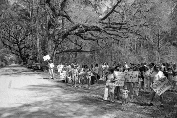 Protestors against the cutting of trees on a canopy road - Tallahassee, Florida.
