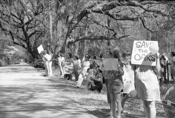Protestors against the cutting of trees on a canopy road - Tallahassee, Florida.