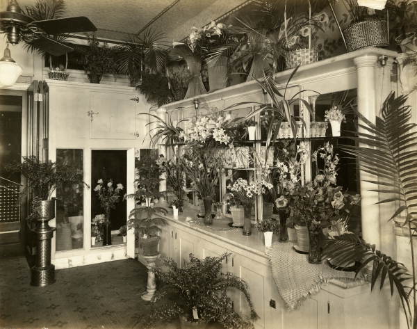 Florist's shop