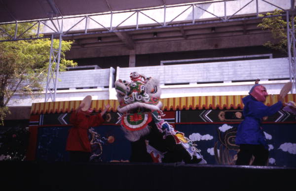 Dragon dance performance during a Chinese New Year show in Miami, Florida.