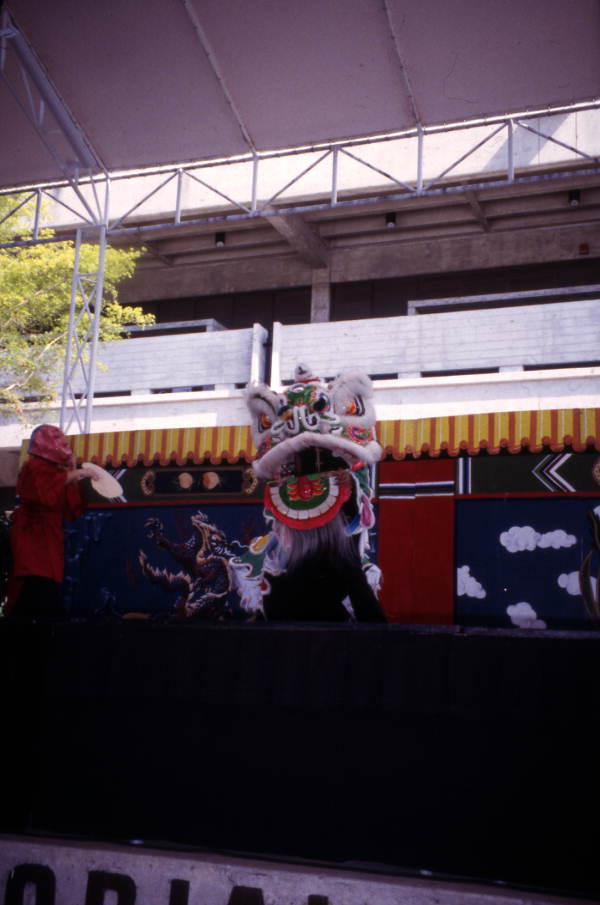 View of the dragon dance performance during a Chinese New Year celebration in Miami, Florida.