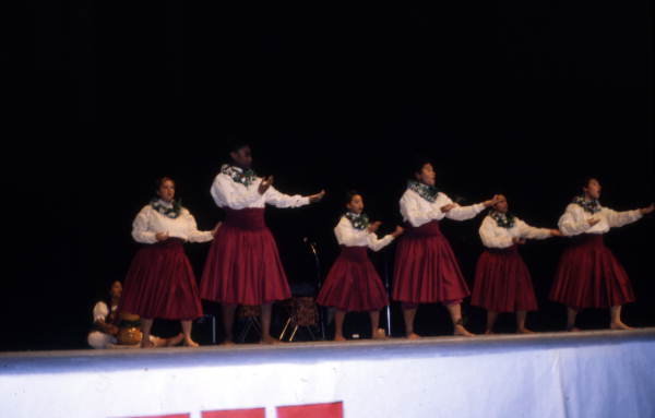 Participants performing in a hula dance competition - Orlando, Florida.