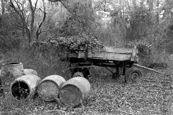 Barrels containing turpentine near an old wagon.