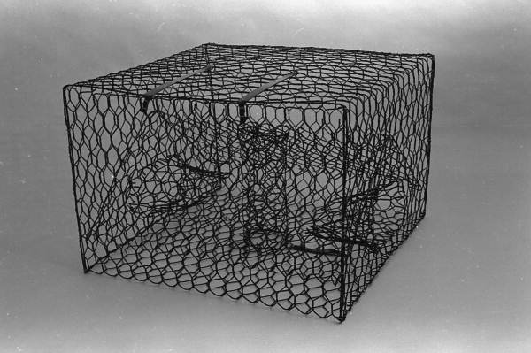 Crab trap