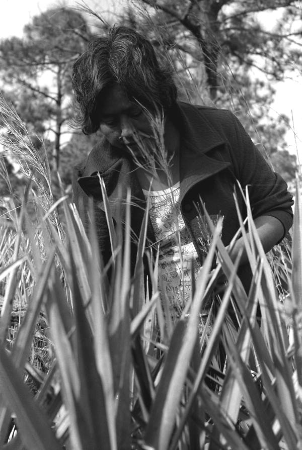 Margaret Cypress gathering sweetgrass for baskets- Immokalee, Florida