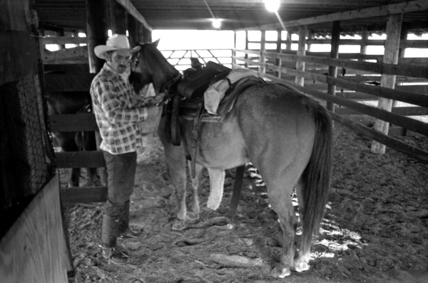 Herb Davis saddling a horse at Buck Island Ranch- Lake Placid, Florida