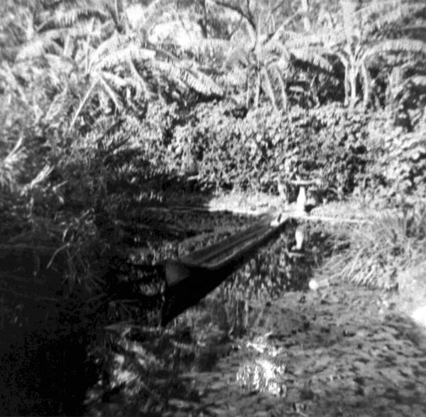 Seminole Indian dug-out canoe, given to Thomas A. Edison by Cory Osceola