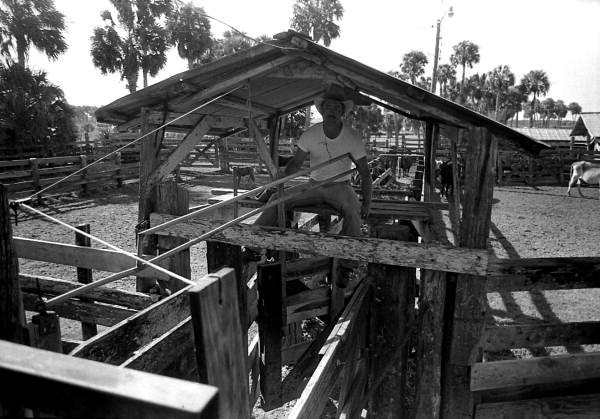 Terry Myers sitting on top of the separating chute at Buck Island Ranch- Lake Placid, Florida